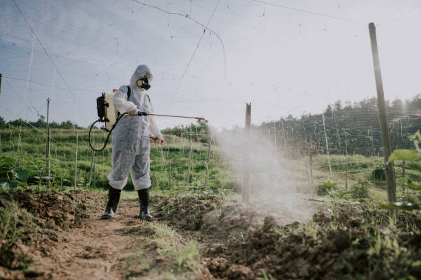 Professional Pest Control in Peach Lake, NY