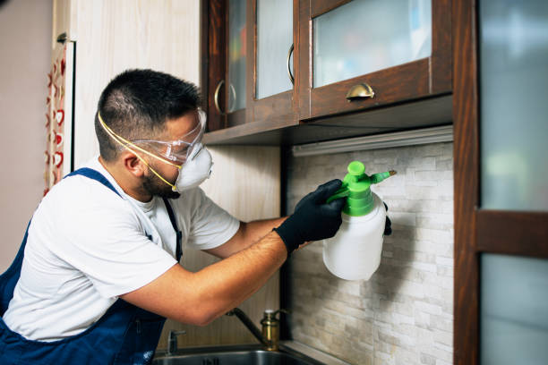 Best Pest Inspection Near Me  in Peach Lake, NY