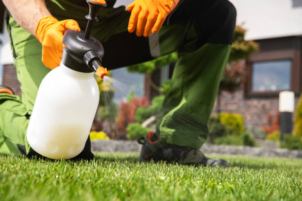 Best Wildlife Control Services  in Peach Lake, NY
