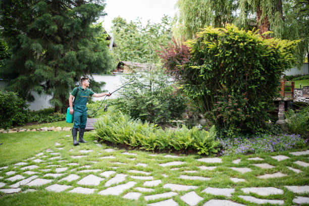 Best Affordable Pest Control Services  in Peach Lake, NY