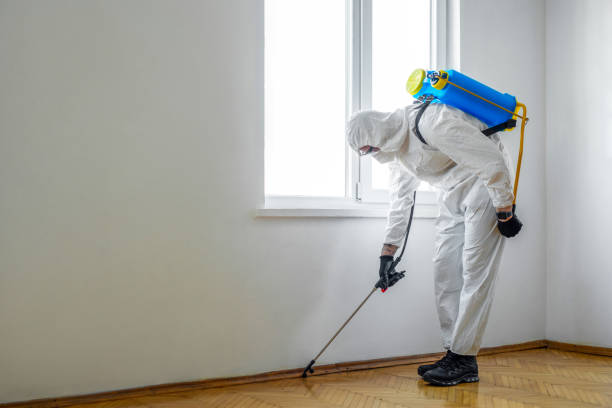 Insect Control in Peach Lake, NY