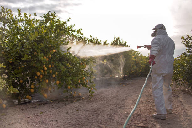 Best Commercial Pest Control Services  in Peach Lake, NY