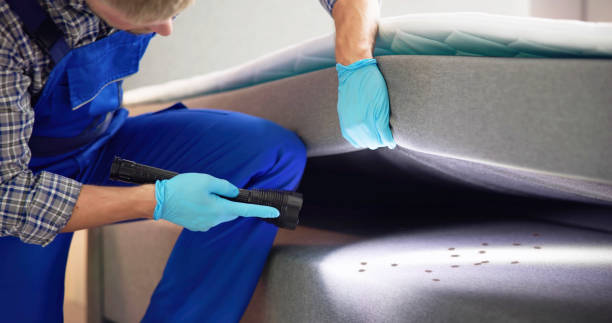 Best Termite Control Services  in Peach Lake, NY