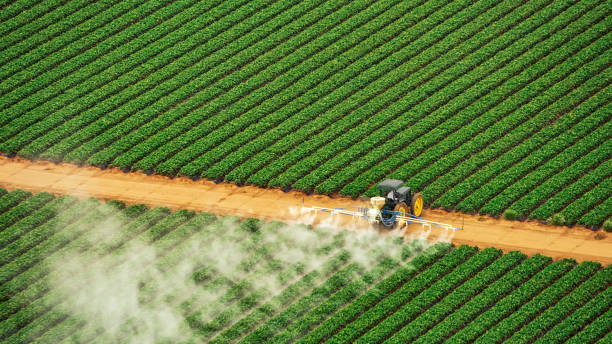 Pest Control Cost in Peach Lake, NY