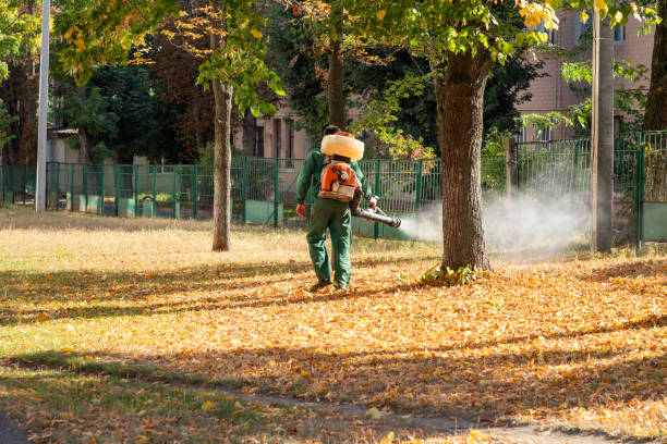 Best Pest Removal Services  in Peach Lake, NY