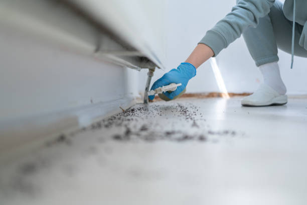 Best Mosquito Control Services  in Peach Lake, NY
